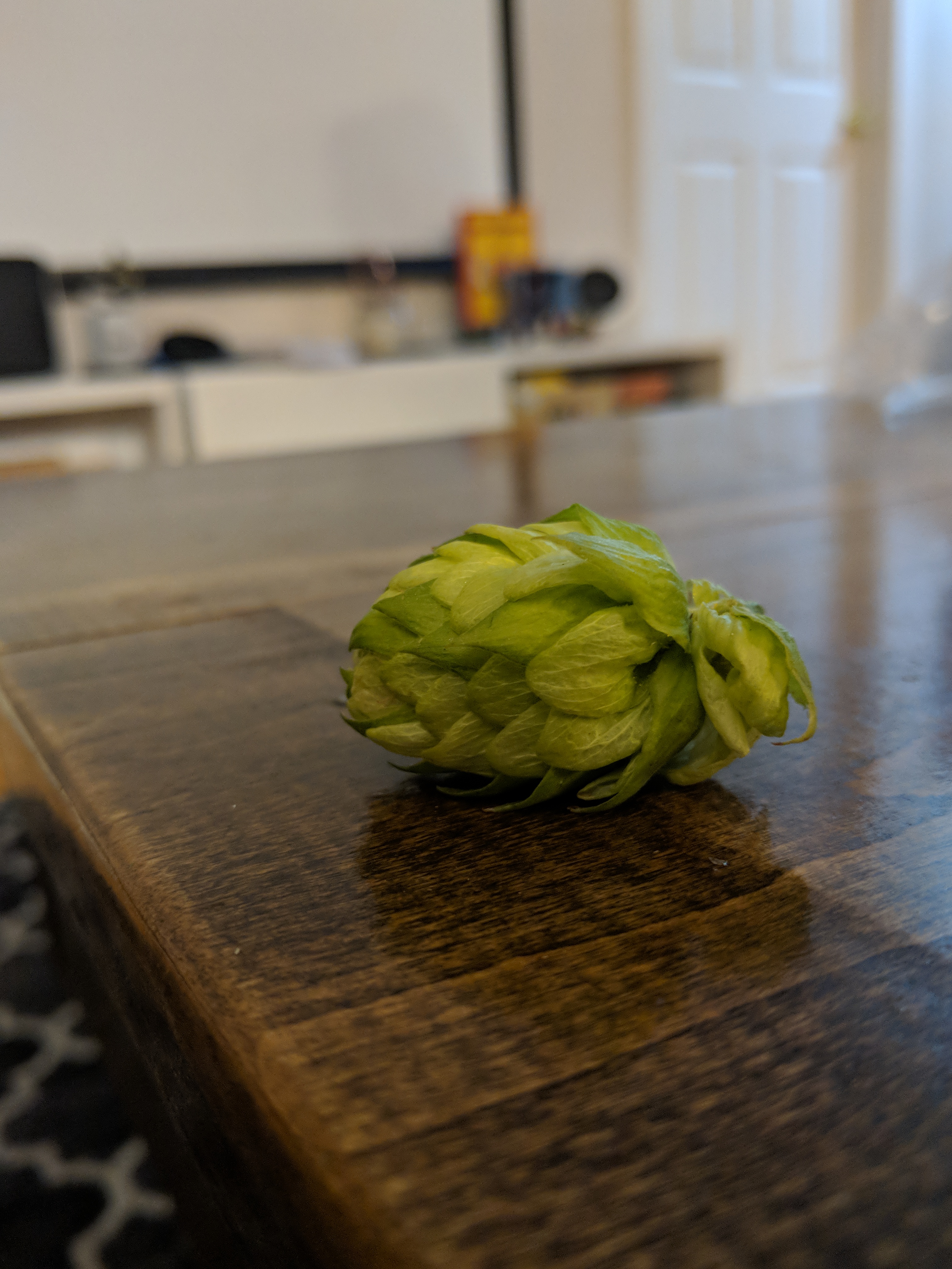 Whole hop cone